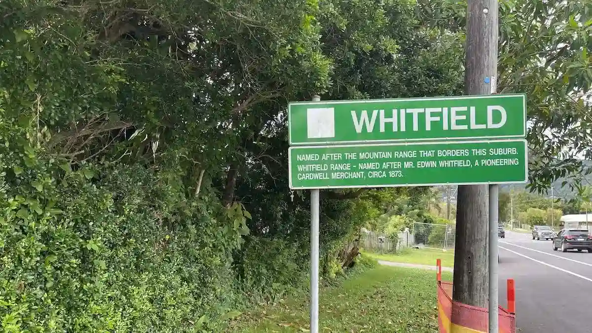 Whitfield: Your Ultimate Guide!