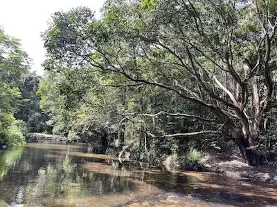 Freshwater Creek Cairns