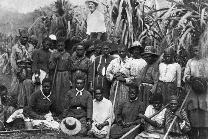 Far North Queensland slavery