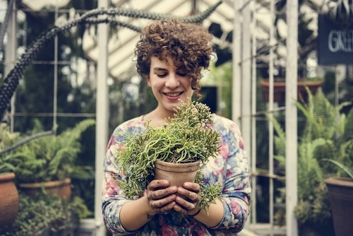 grow indoor plants - mental health